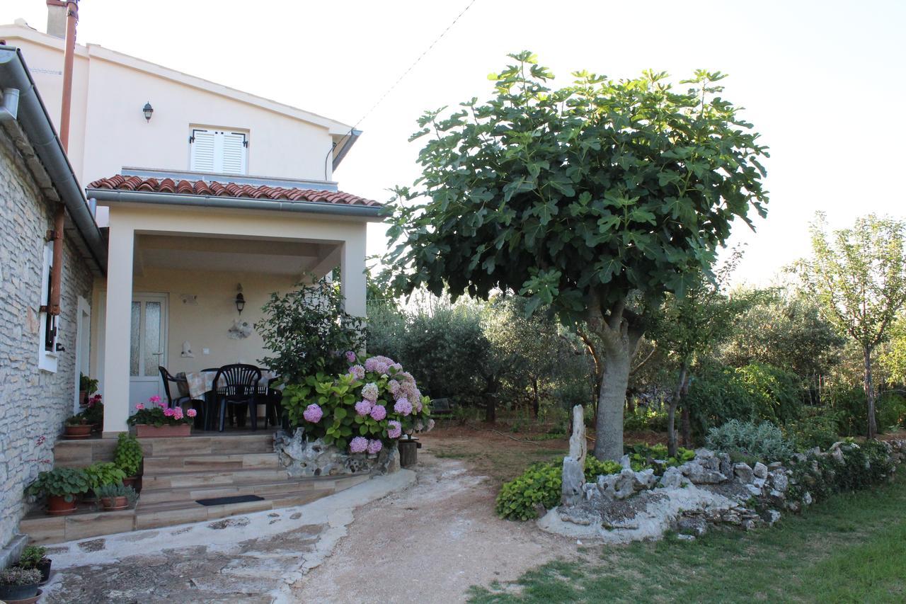 Haus Glavani Barban ภายนอก รูปภาพ